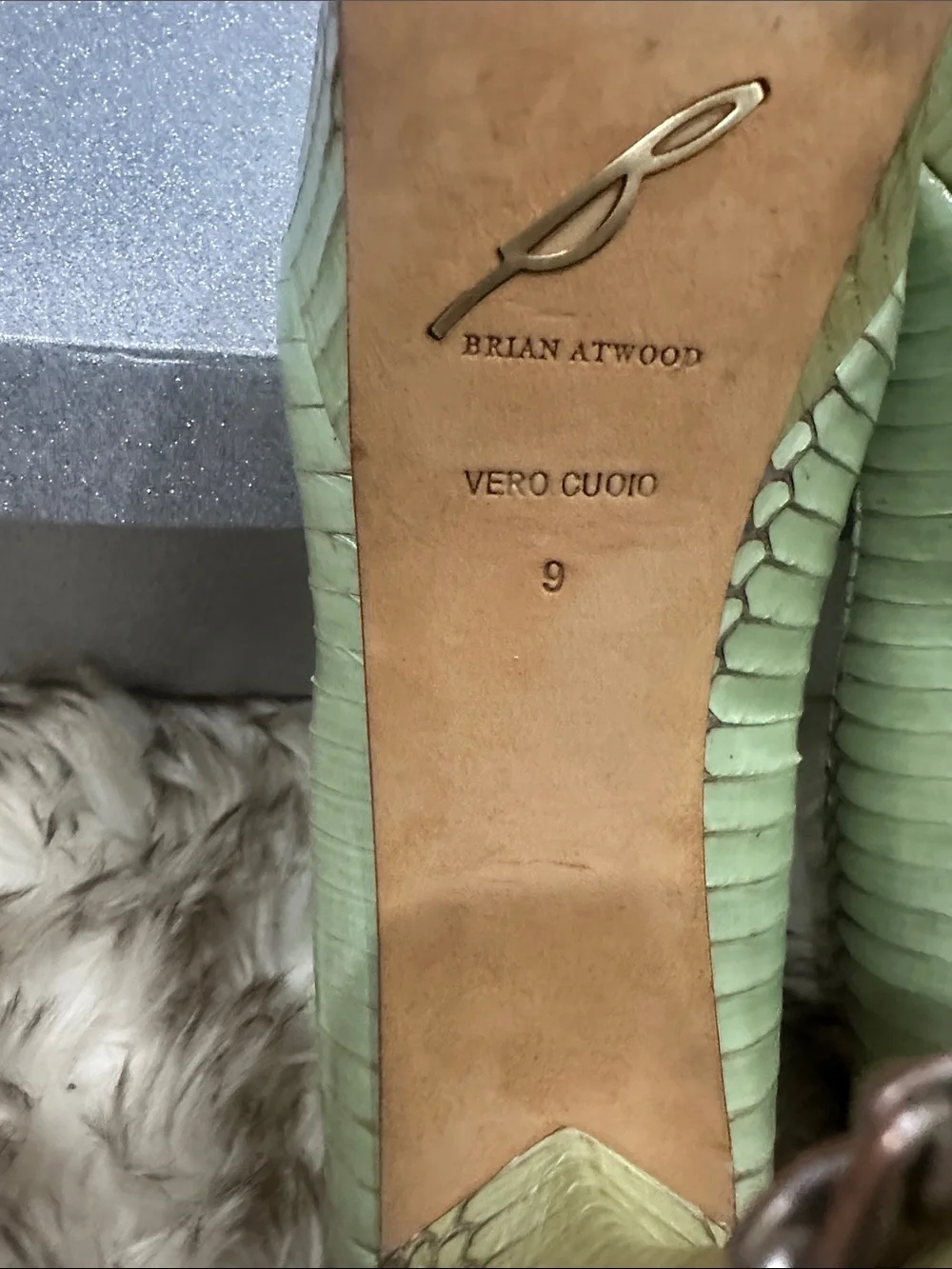Brian Atwood brian atwwood